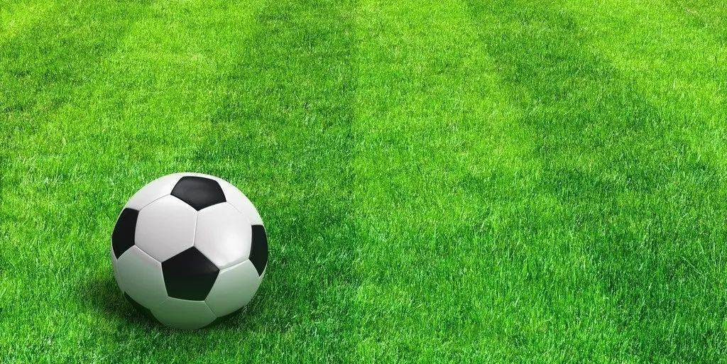 社交聚会观赛场景